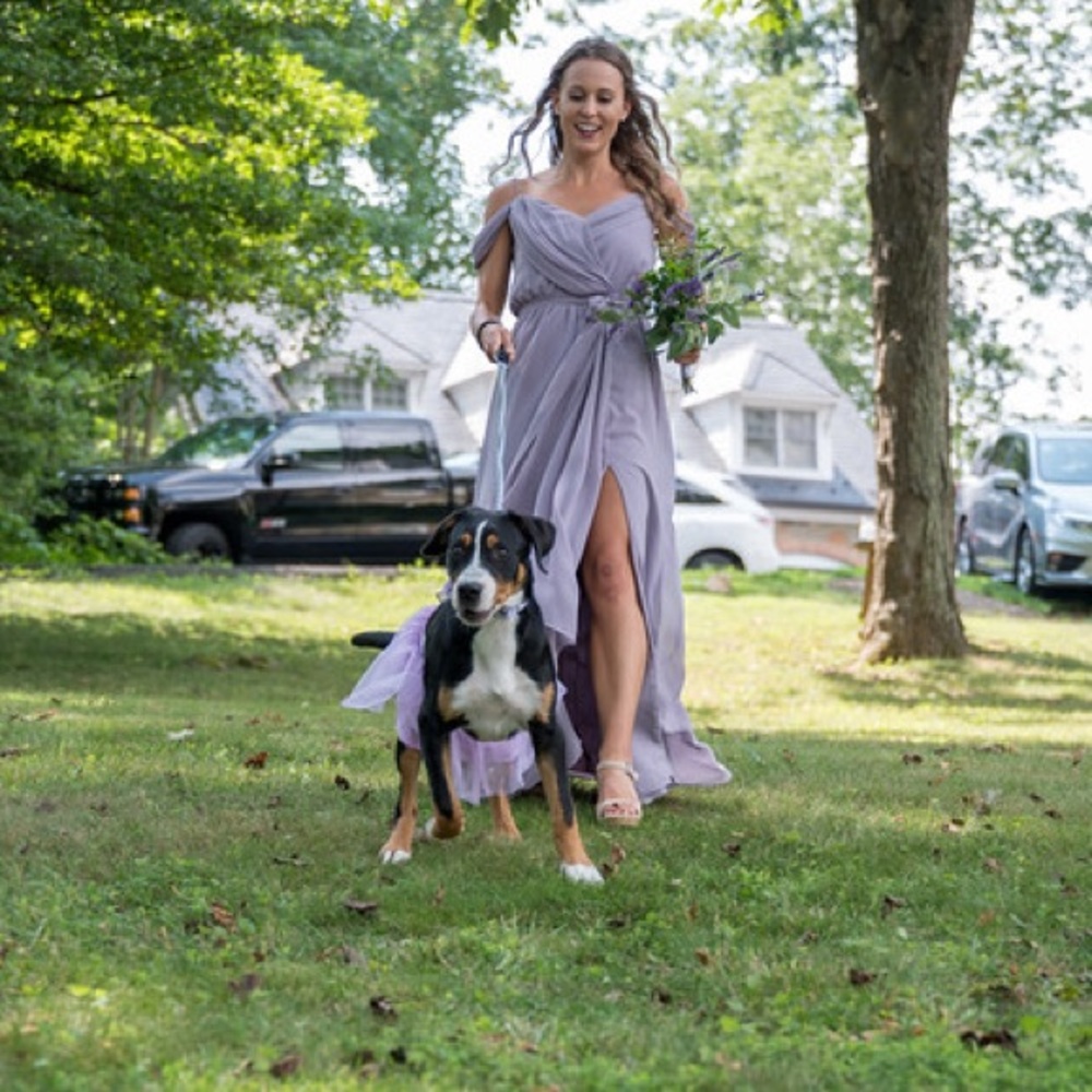 BHLDN Dusty Purple Bridesmaid Dress